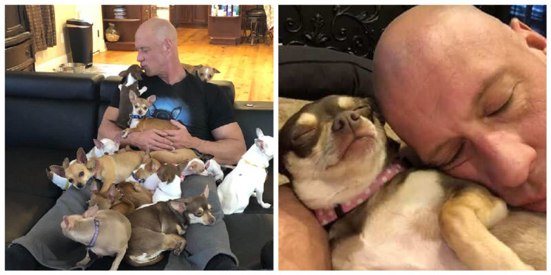 Big man who didn't like small dogs was saved by a chihuahua and dedicated his life to rescuing them