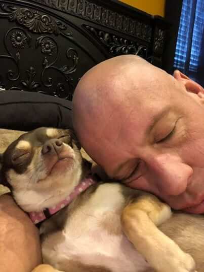 Big man who didn't like small dogs was saved by a chihuahua and dedicated his life to rescuing them