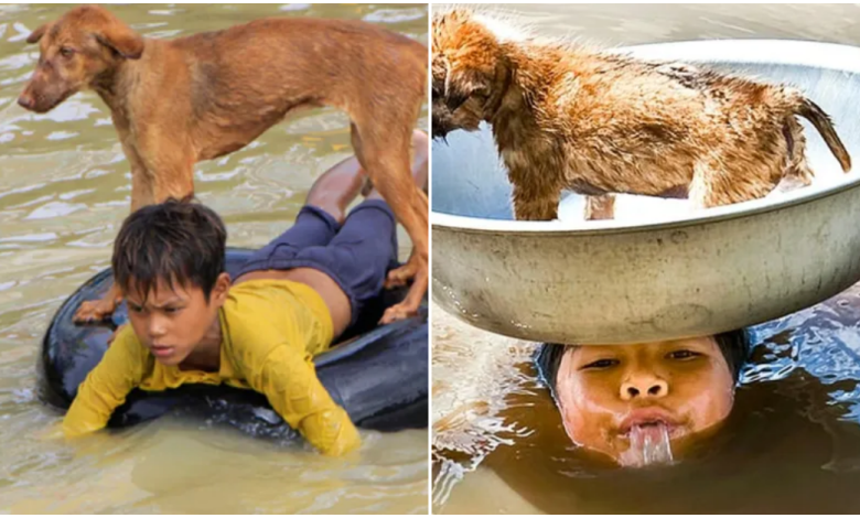 Brave 7-year-old boy, not afraid of danger, braved the pouring rain to rescue his dog from the flood.