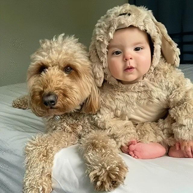 The Heartwarming Connection between the Baby and the Friend Who is its Constant Shield