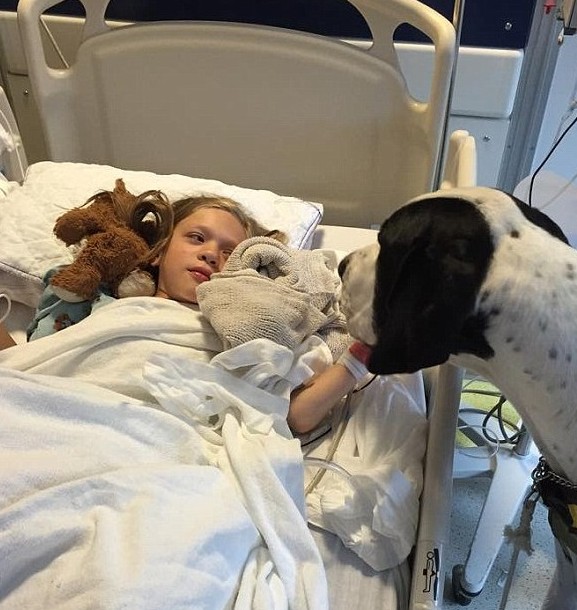 The heartwarming tale of an unwavering canine companion, carrying a young girl with a broken leg through a challenging hospital journey, leaves her family deeply moved.
