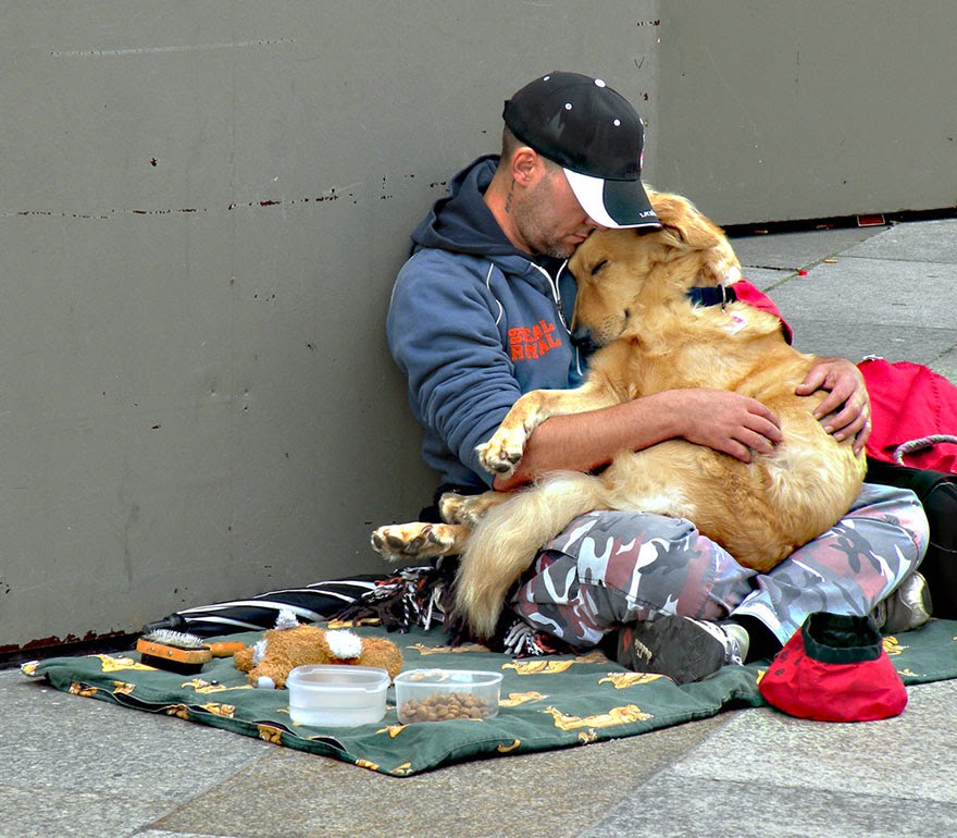 Touching video: Regardless of any situation, this canine stays in the embrace of its homeless guardian, and their affection has moved countless individuals.